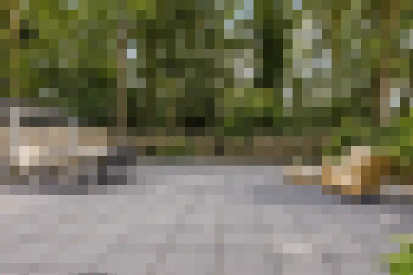 Wilgenplantsoen 18 Waspik thumbnail 21