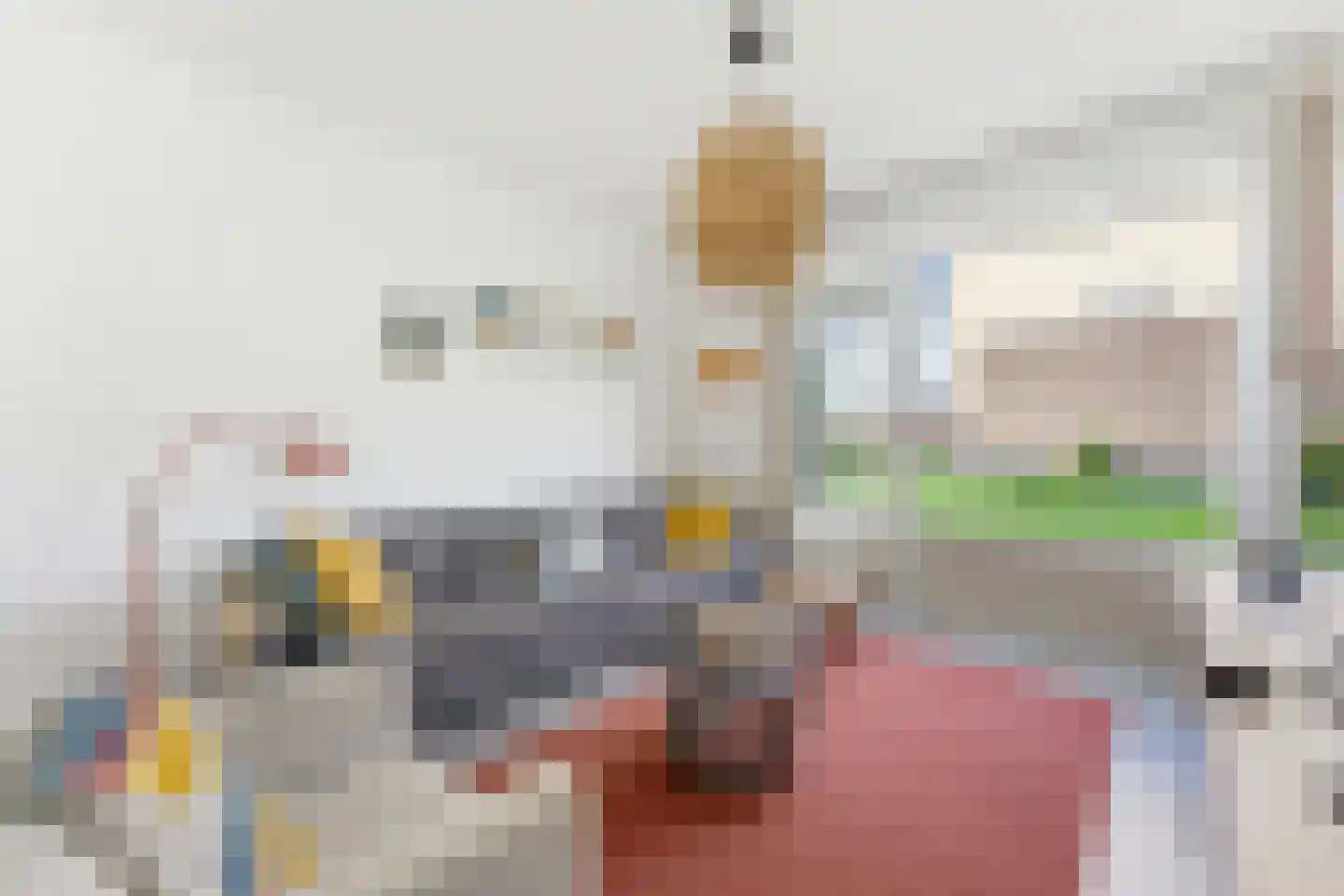 Wilgenplaslaan 117 Rotterdam thumbnail 16