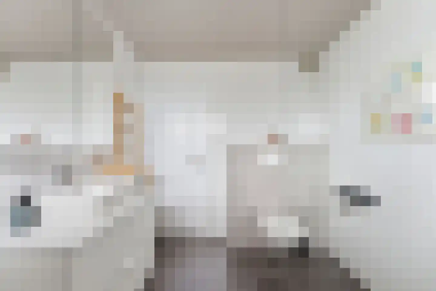 Wilgenplaslaan 117 Rotterdam thumbnail 34