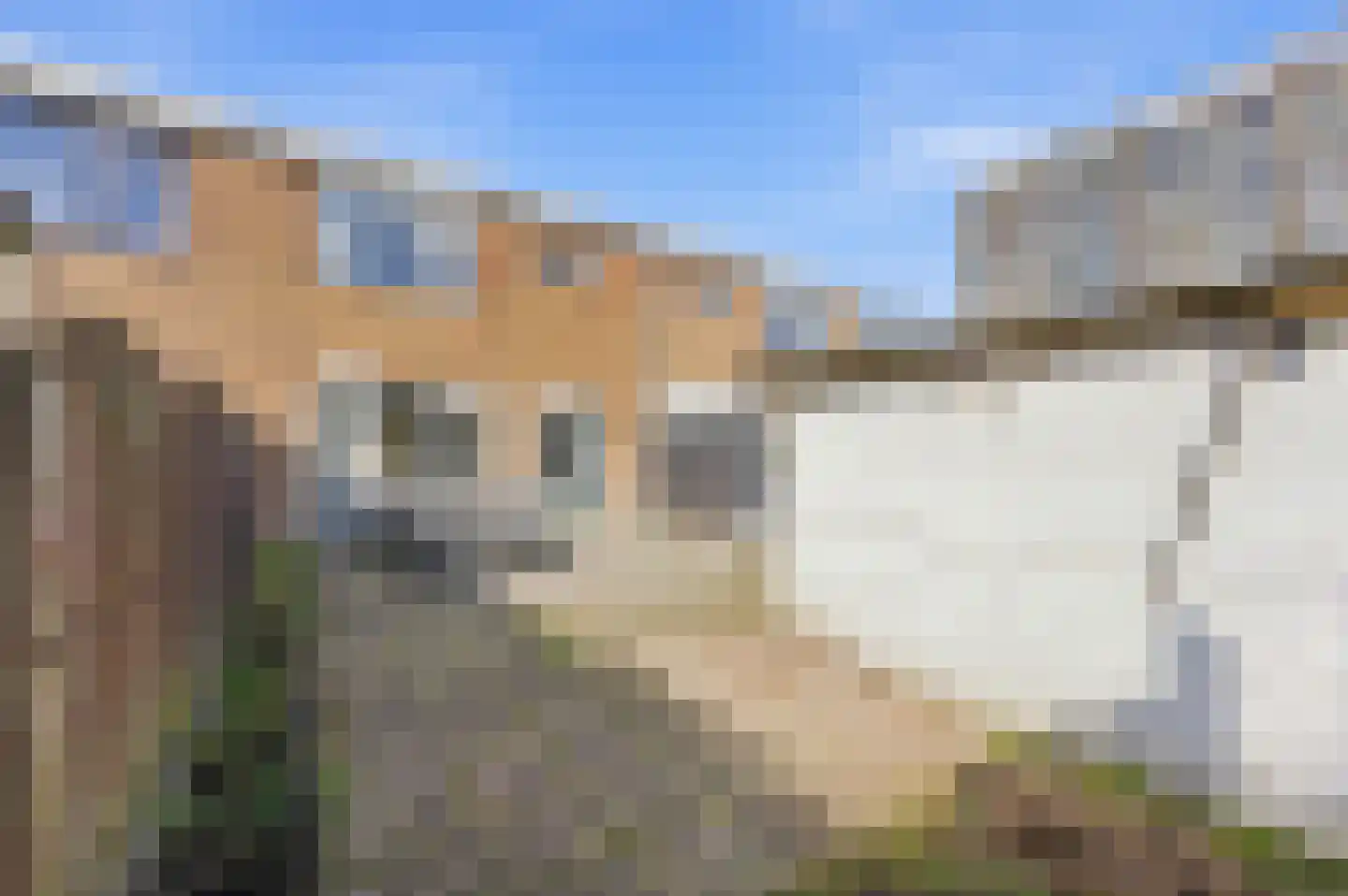 Wilgenplaslaan 117 Rotterdam thumbnail 38