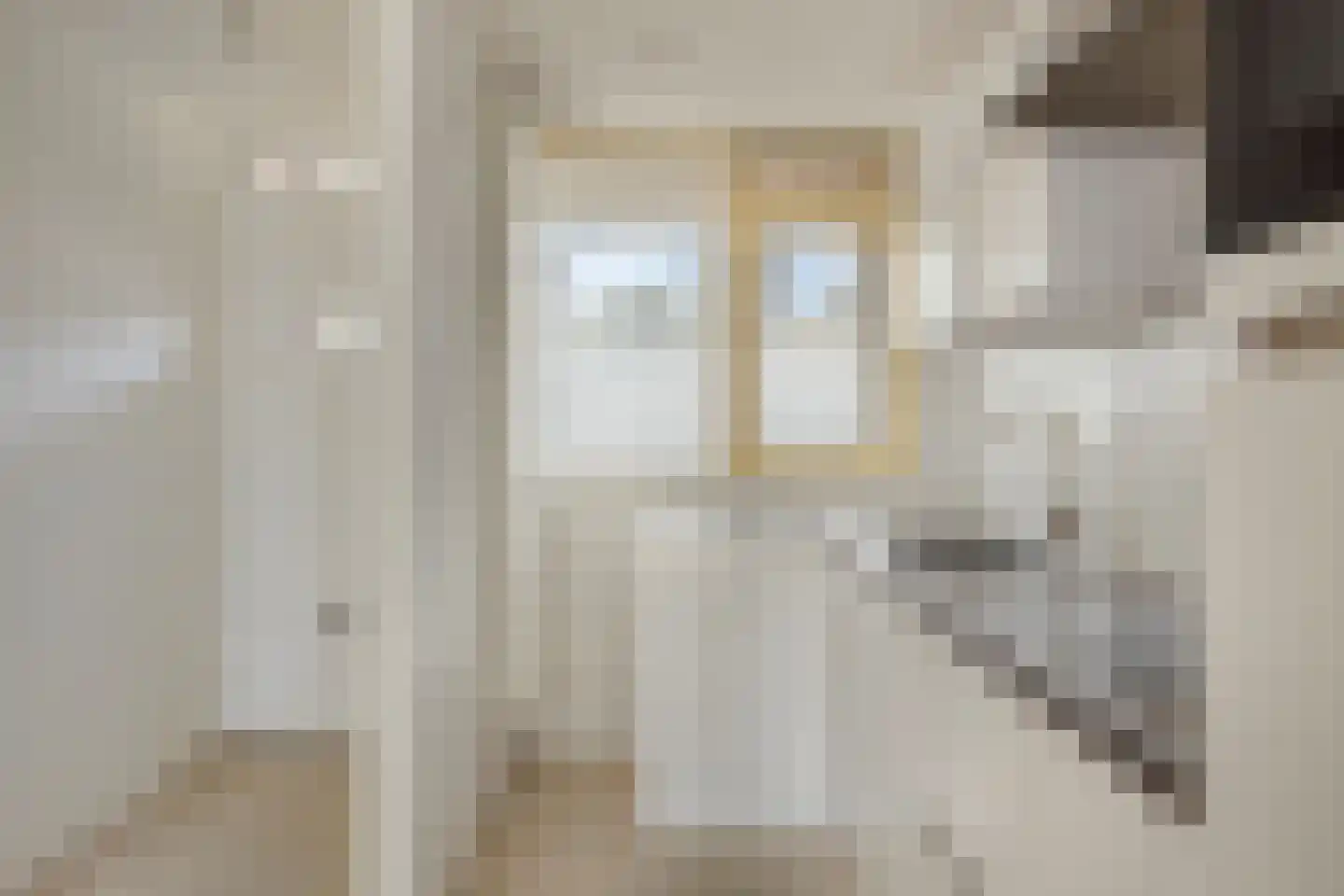 Wilgenplaslaan 210 Rotterdam thumbnail 11