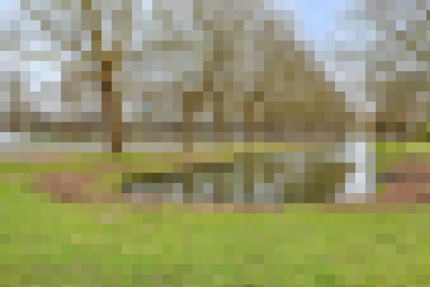 Wilgenplaslaan 210 Rotterdam thumbnail 25