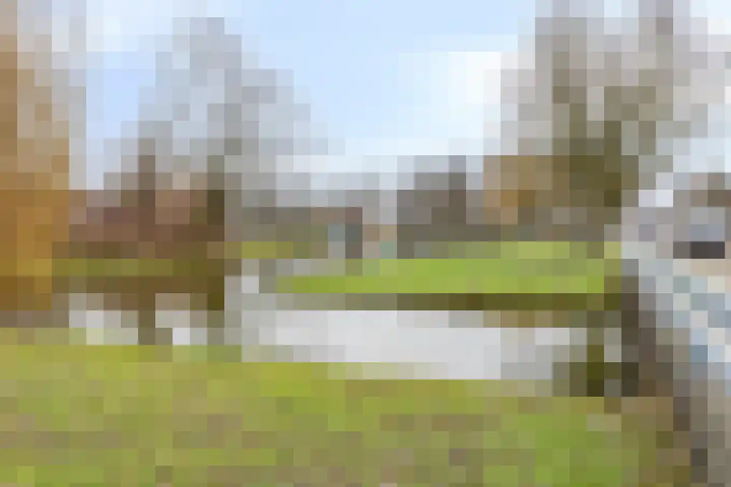 Wilgenplaslaan 210 Rotterdam thumbnail 26