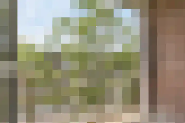 Wilgenplaslaan 222 Rotterdam thumbnail 16