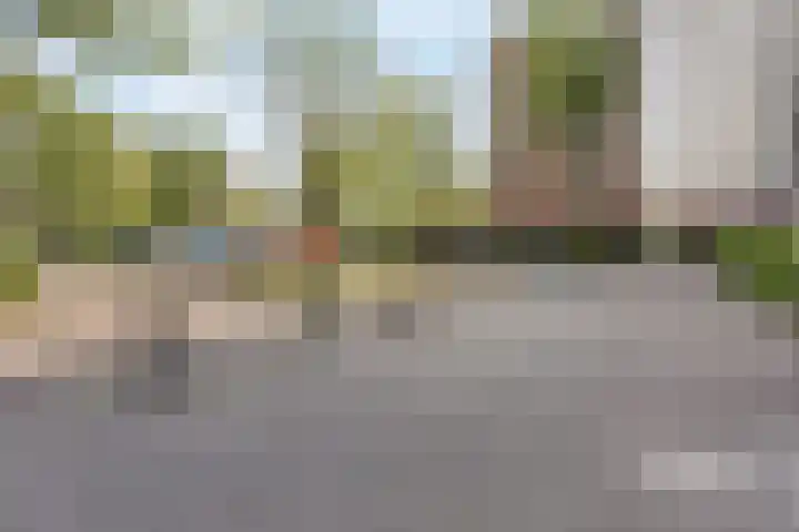 Wilgenplaslaan 222 Rotterdam thumbnail 25