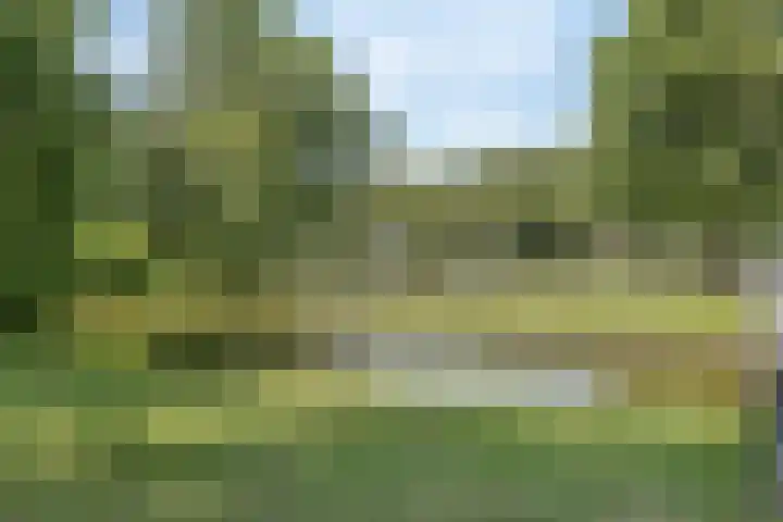 Wilgenplaslaan 222 Rotterdam thumbnail 27
