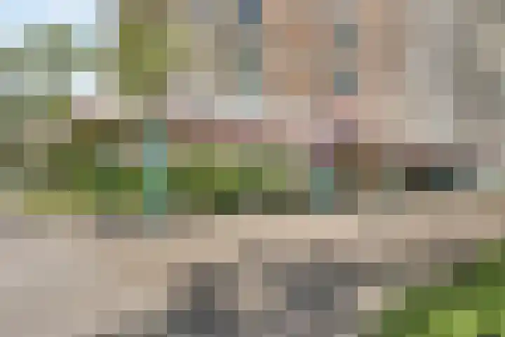 Wilgenplaslaan 222 Rotterdam thumbnail 5