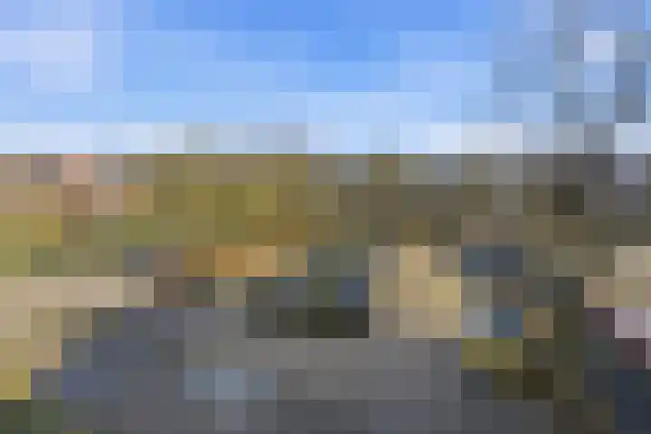 Wilgenplaslaan 236 Rotterdam thumbnail 32