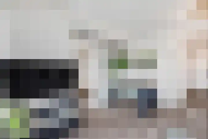 Wilgenplaslaan 256 Rotterdam thumbnail 7