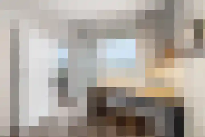 Wilgenplaslaan 256 Rotterdam thumbnail 8