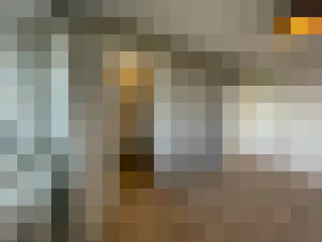 Wilgenplaslaan 262 Rotterdam thumbnail 6