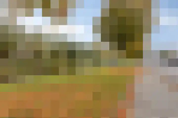 Wilgenplaslaan 264 Rotterdam thumbnail 19