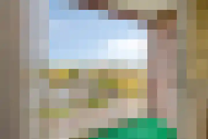 Wilgenplaslaan 264 Rotterdam thumbnail 5