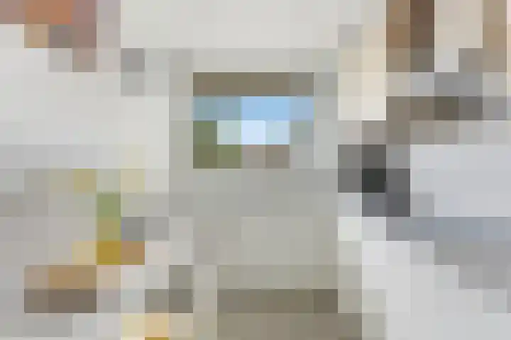 Wilgenplaslaan 324 Rotterdam thumbnail 16