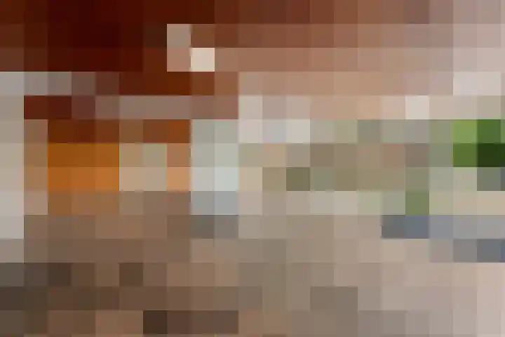 Wilgenplaslaan 324 Rotterdam thumbnail 31