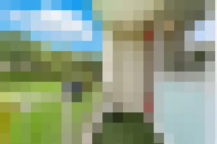 Wilgenplaslaan 324 Rotterdam thumbnail 4