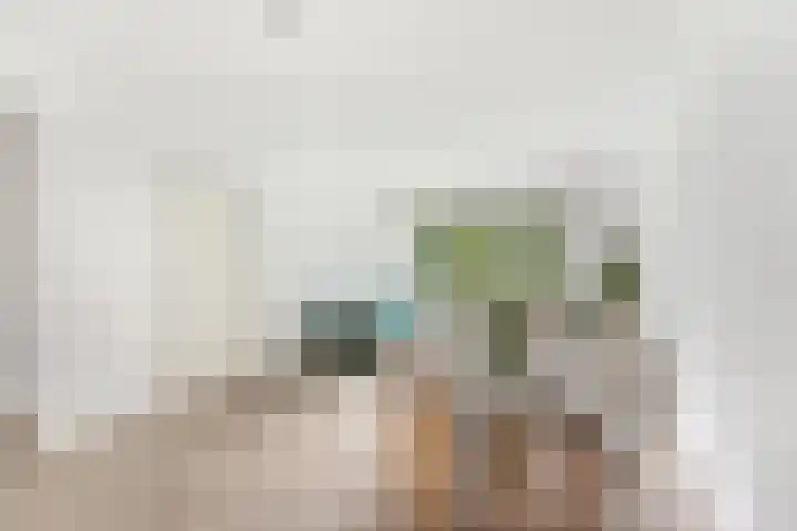Wilgenplaslaan 334 Rotterdam thumbnail 11