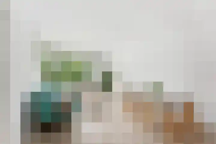 Wilgenplaslaan 334 Rotterdam thumbnail 12