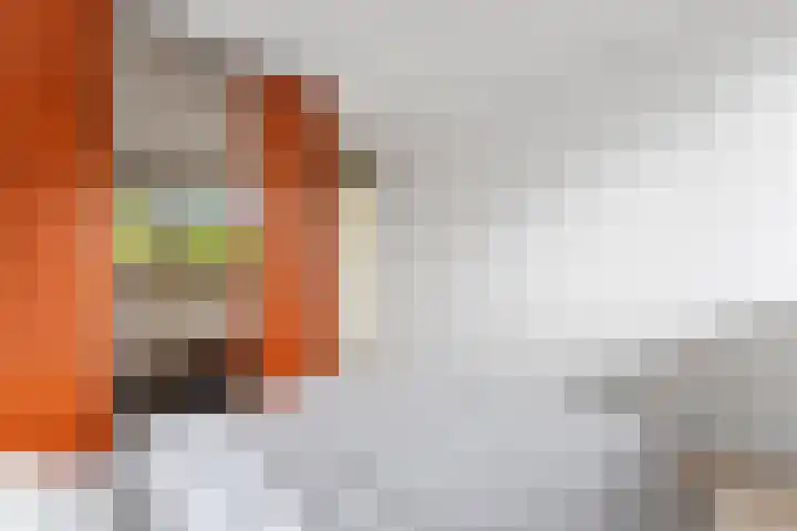 Wilgenplaslaan 334 Rotterdam thumbnail 21