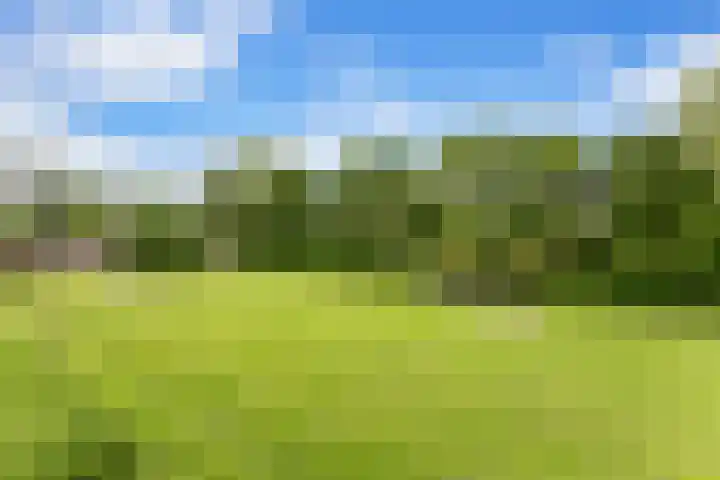 Wilgenplaslaan 334 Rotterdam thumbnail 32