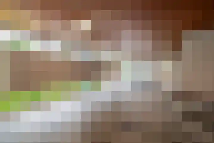 Wilgenplaslaan 336 Rotterdam thumbnail 11