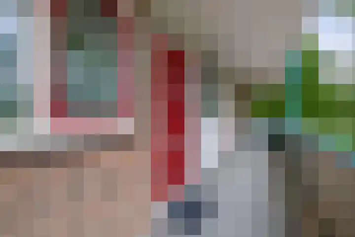 Wilgenplaslaan 336 Rotterdam thumbnail 12