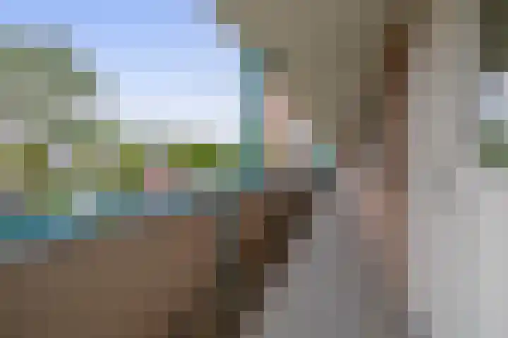 Wilgenplaslaan 336 Rotterdam thumbnail 13
