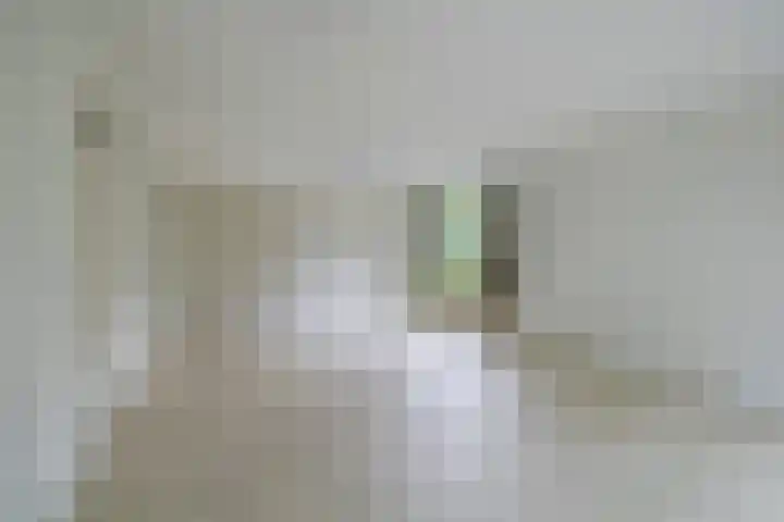 Wilgenplaslaan 336 Rotterdam thumbnail 15