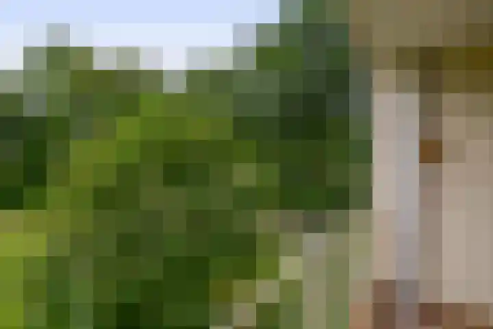 Wilgenplaslaan 336 Rotterdam thumbnail 24