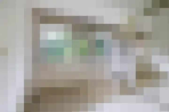 Wilgenplaslaan 336 Rotterdam thumbnail 29