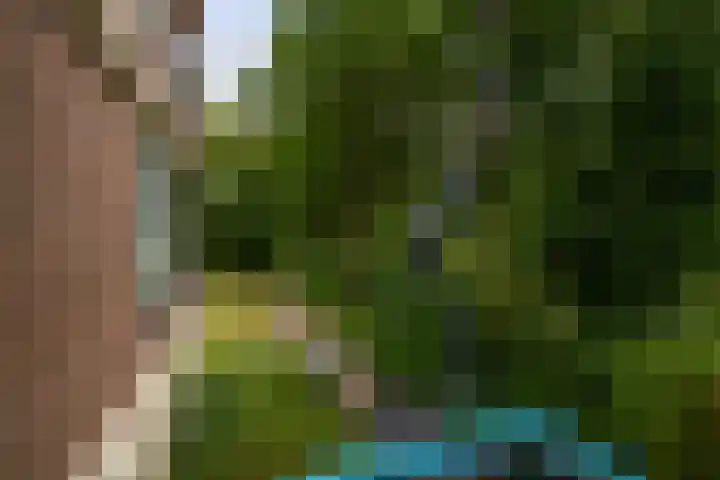 Wilgenplaslaan 336 Rotterdam thumbnail 31
