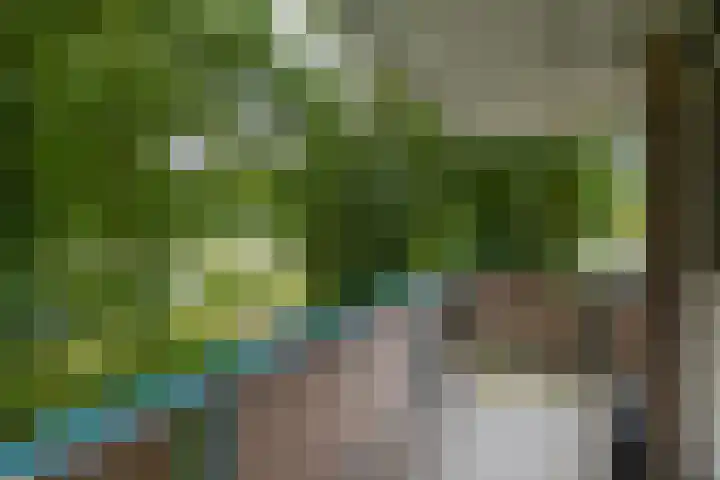 Wilgenplaslaan 336 Rotterdam thumbnail 32