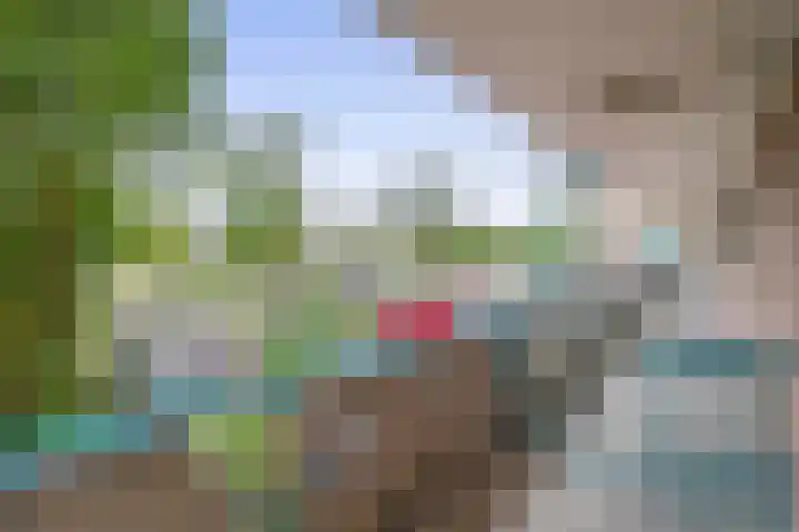 Wilgenplaslaan 336 Rotterdam thumbnail 33