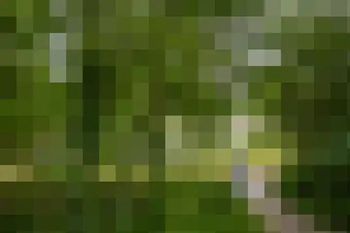 Wilgenplaslaan 336 Rotterdam thumbnail 36