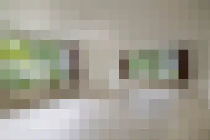 Wilgenplaslaan 336 Rotterdam thumbnail 37