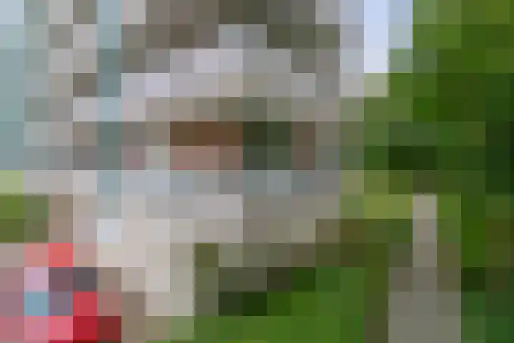 Wilgenplaslaan 336 Rotterdam thumbnail 7