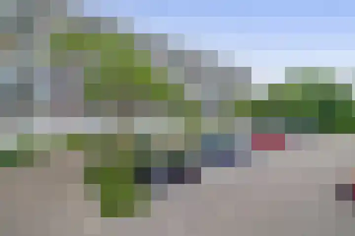 Wilgenplaslaan 336 Rotterdam thumbnail 8