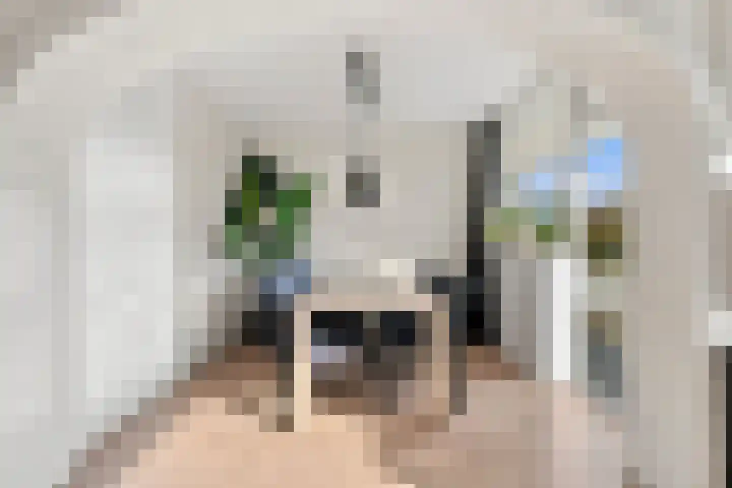 Wilgenplaslaan 344 Rotterdam thumbnail 19