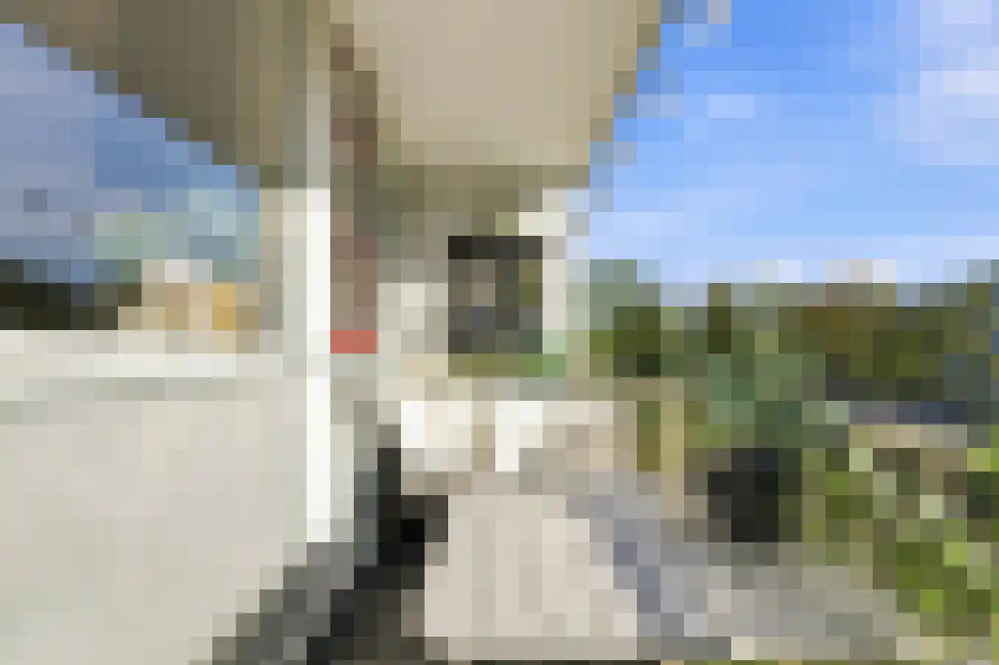 Wilgenplaslaan 344 Rotterdam thumbnail 22