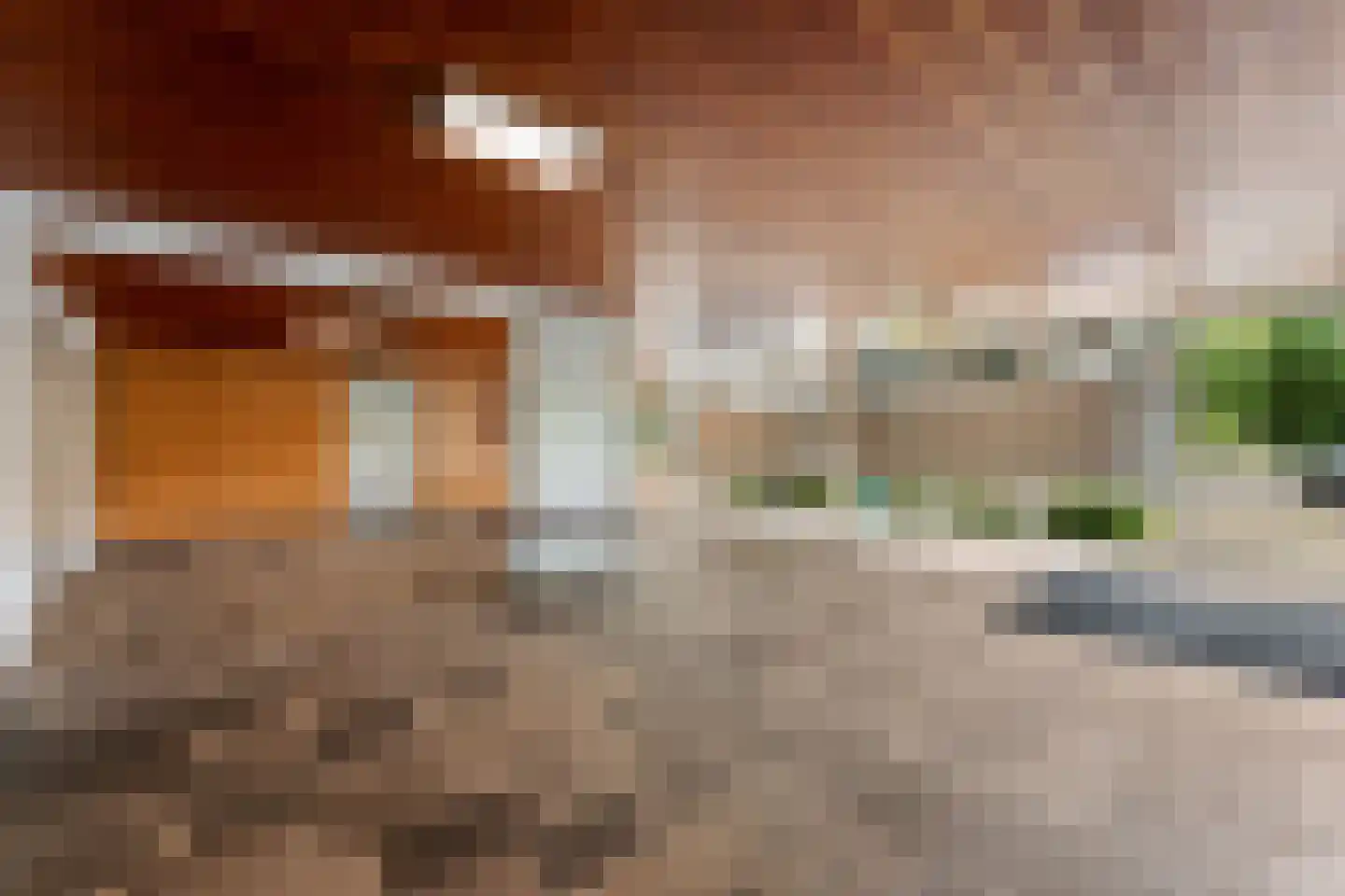Wilgenplaslaan 344 Rotterdam thumbnail 26