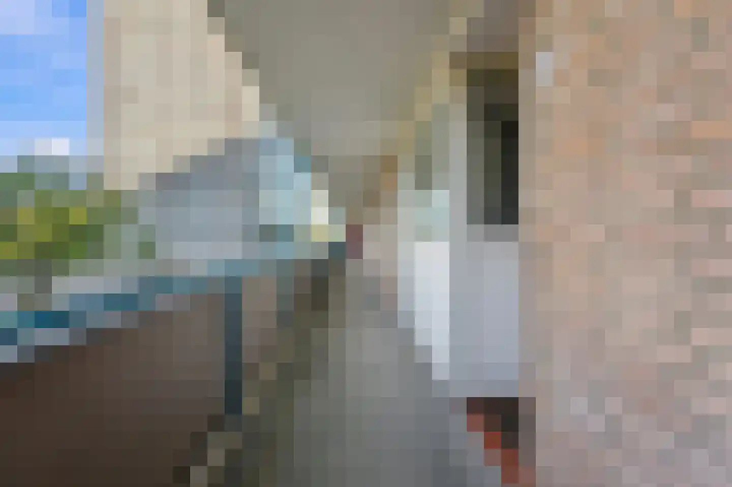 Wilgenplaslaan 344 Rotterdam thumbnail 29