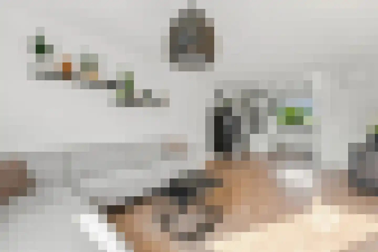 Wilgenplaslaan 344 Rotterdam thumbnail 5