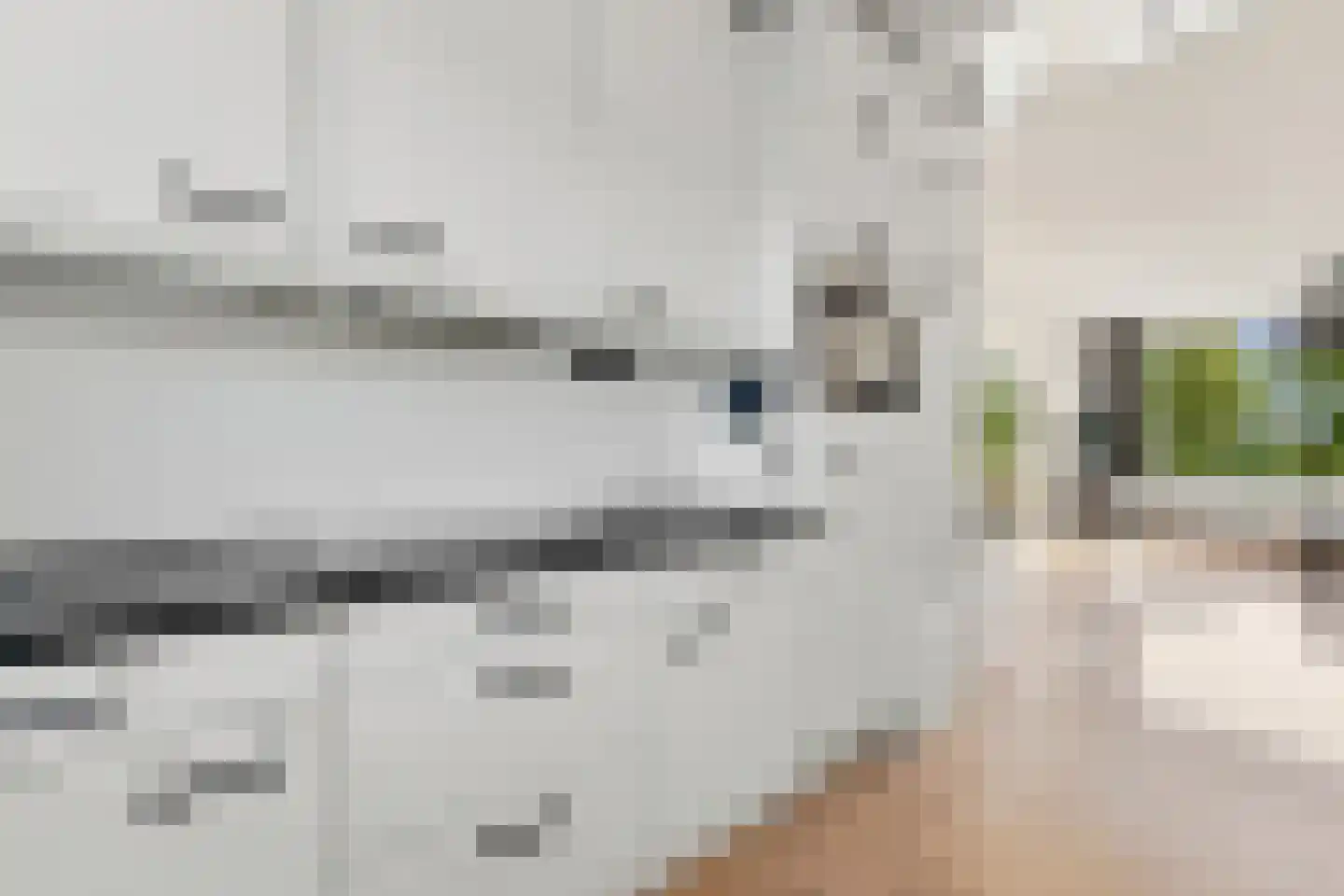 Wilgenplaslaan 344 Rotterdam thumbnail 7
