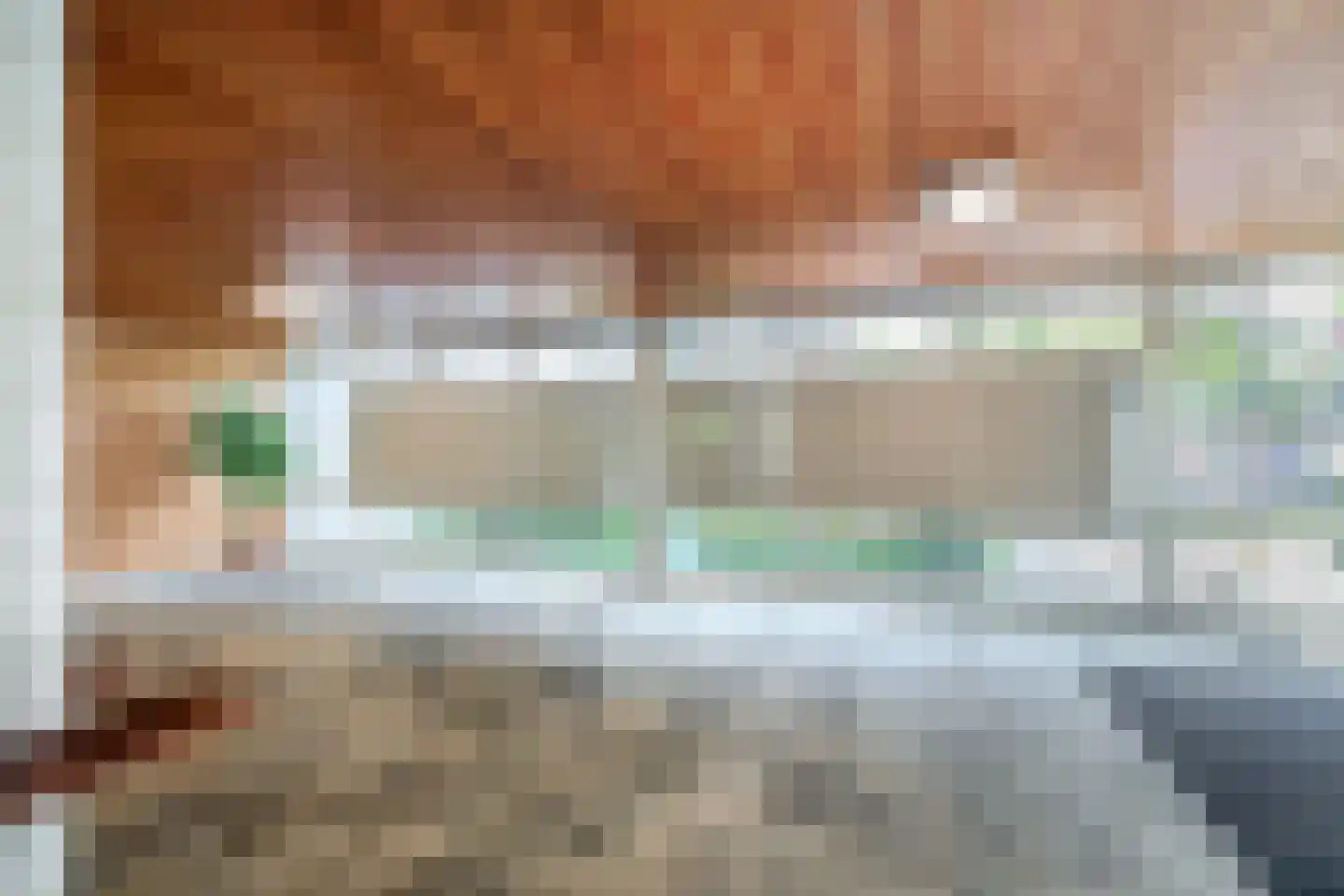 Wilgenplaslaan 354 Rotterdam thumbnail 26