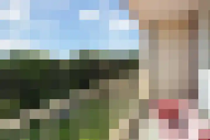 Wilgenplaslaan 378 Rotterdam thumbnail 17