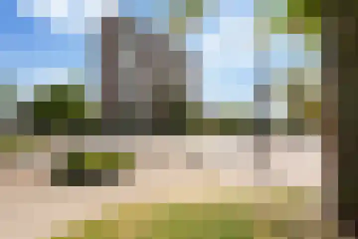 Wilgenplaslaan 378 Rotterdam thumbnail 26
