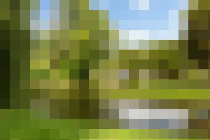 Wilgenplaslaan 378 Rotterdam thumbnail 30