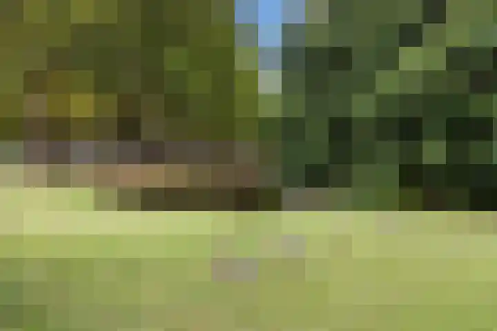 Wilgenplaslaan 378 Rotterdam thumbnail 31