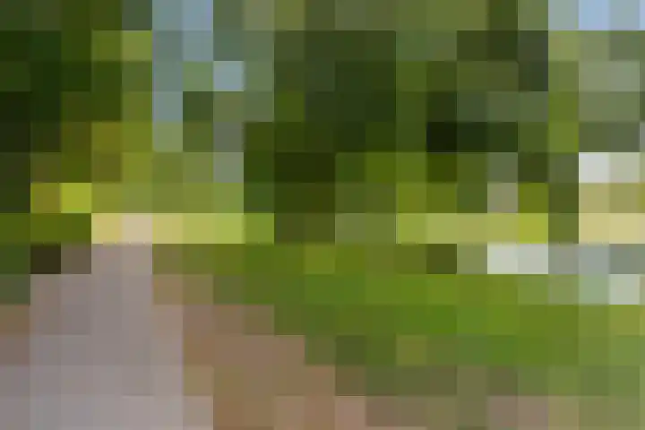 Wilgenplaslaan 378 Rotterdam thumbnail 32