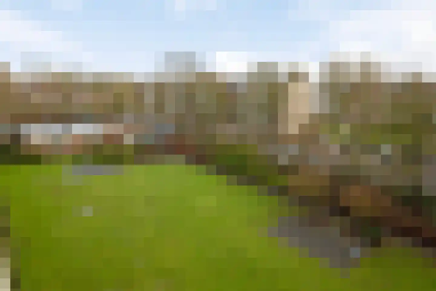 Wilgenplaslaan 384 Rotterdam thumbnail 17